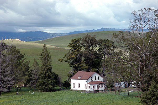 Cambria February 2011 017.JPG